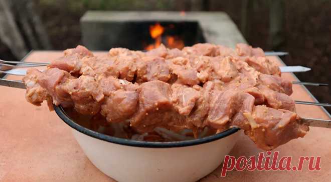 Лучший маринад для шашлыка из свинины: топ-лист от Гастронома — читать на Gastronom.ru
