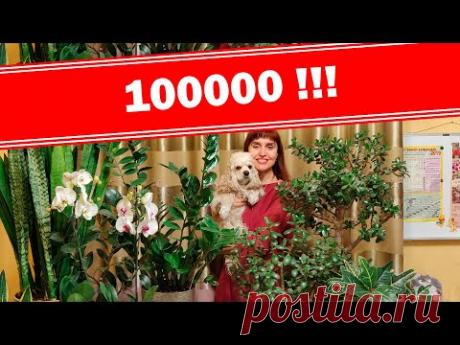 Приветствие подписчикам! Нас 100 тысяч!!!