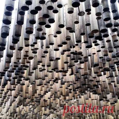 #Бамбук #bamboo
#울산대공원

#Ульсан #Ulsan #울산 
#Корея #Korea #SouthKorea #한국 #ig_korea #ig_asia_  #travelKorea #koreatrip #koreatrip2015