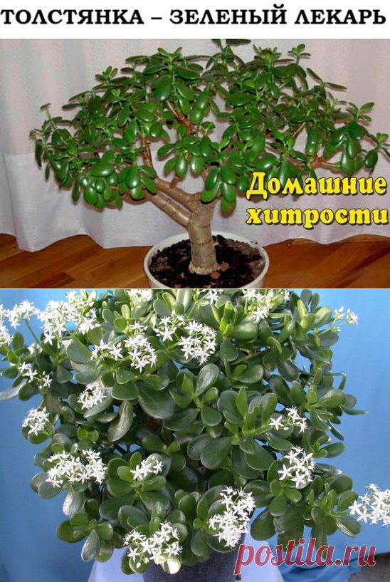 Одноклассники