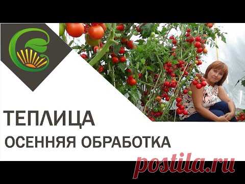 Теплица  Осенняя обработка