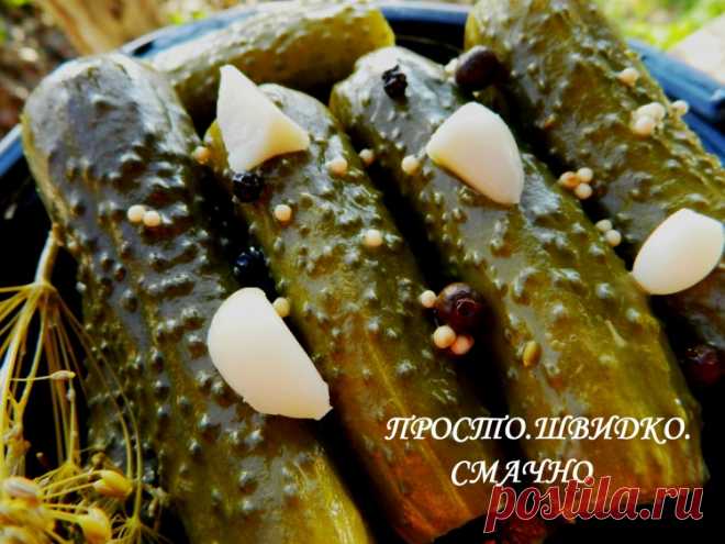 Консервированные огурцы на зиму - Простые рецепты Овкусе.ру