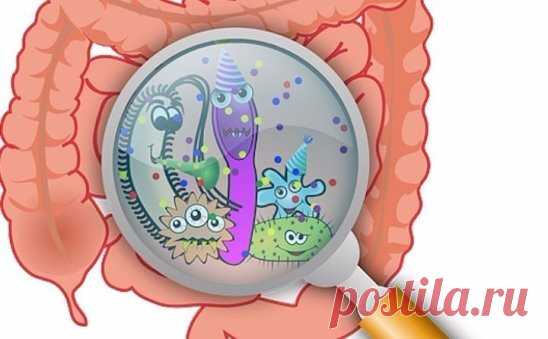 Чистка от паразитов
Самый эффективный и доступный метод от паразитов и для общей чистки организма — пропить полынь горькую и гвоздику в течении 21-го дня. 
Рецепт от нас, испытавших это на себе.
Измельчить в кофемолке обе травы по отдельности. Сразу после этого кофемолку хорошо вымыть, иначе запах сильно впитается.
Измельченную травку пить по одной чайной ложке (с горкой для взрослых, без горки