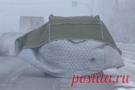 Автомобилист удивил россиян неожиданным лайфхаком и попал на видео. Россиянин выехал на трассу в портативном гараже и попал на видео. На записи, снятой одним из автомобилистов, видно, как машина, укутанная в утепленный тент, едет по дороге. Внизу чехла, развевающегося в разные стороны, прорезана дырка для выхлопной трубы, из которой выбивается пар.