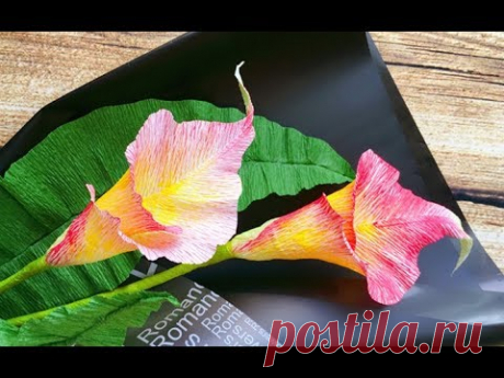 ABC TV | How To Make Calla Lily Paper Bouquet Flower From Crepe Paper #1 - Craft Tutorial