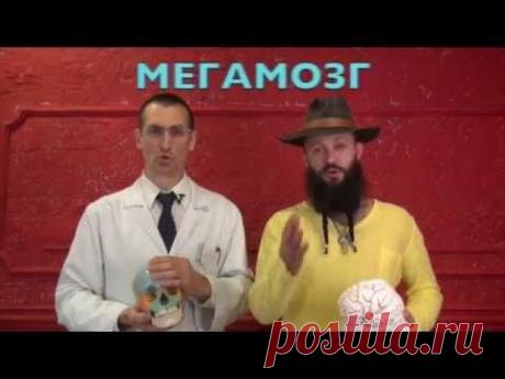Программа восстановления и прокачки головного мозга и памяти – «МЕГАМОЗГ» (с регистрацией) | Система активной самообороны Булат