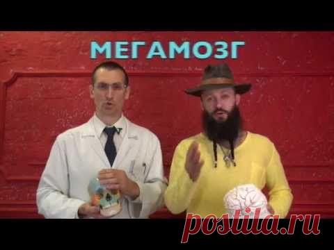 Программа восстановления и прокачки головного мозга и памяти – «МЕГАМОЗГ» (с регистрацией) | Система активной самообороны Булат