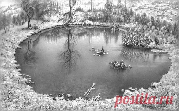 Рисунки простым карандашом.