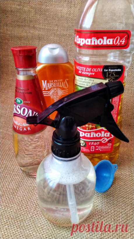 Repelente de moscas y mosquitos casero