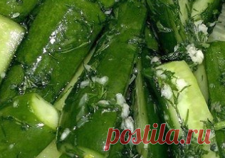 острые закуски