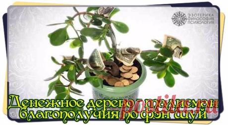 ДЕНЕЖНОЕ ДЕРЕВО - ТАЛИСМАН БЛАГОПОЛУЧИЯ ПО ФЭН-ШУЙ