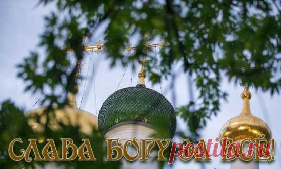 Если у вас есть дети или другие родные, которые забыли Бога, которые погибают в неверии и вам жалко их, вам горько, и скорбит сердце ваше, то вы обращайтесь к Богу, взывая к Нему: 
- Взыщи, Господи, погибающего раба Твоего! Или рабу Твою (назовите имя). 
И если вы будете упорны в своей постоянной молитве о душах погибающих, то Господь ради ваших молитв возьмет эти души под свое покровительство, на особое испытание. Нужно бы умереть давно иному человеку по делам его непотребным, но Господь продл