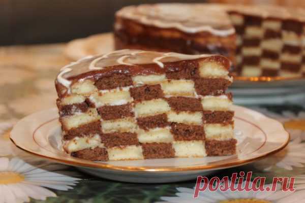 Дневник черной кошки