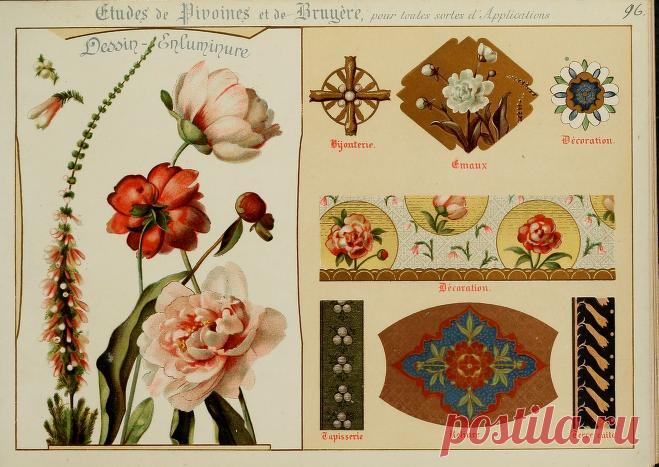 Fleurs d'après nature et fleurs ornementales : études de fleurs et feulliages avec diverses interprétations applicables à l'enluminure et à la décoration : Guillot, Ernest : Free Download, Borrow, and Streaming : Internet Archive