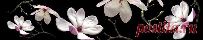 Скинали белые цветы на черном фоне изображения для кухонного фартука