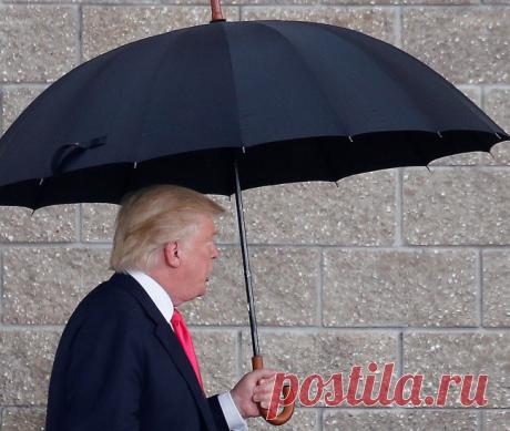Дональд Трамп — Профессионалы.ru