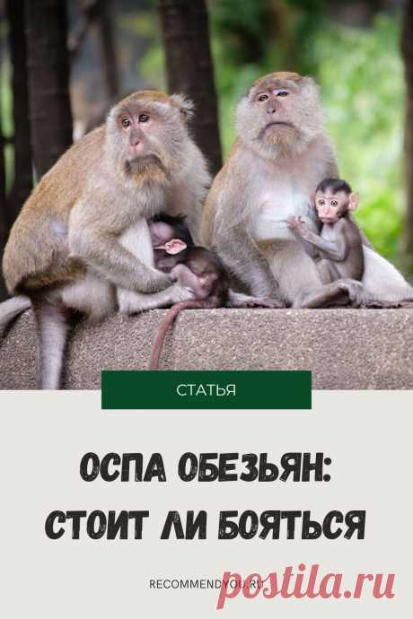 Что такое оспа обезьян, какие симптомы, стоит ли бояться этого вируса #здоровье