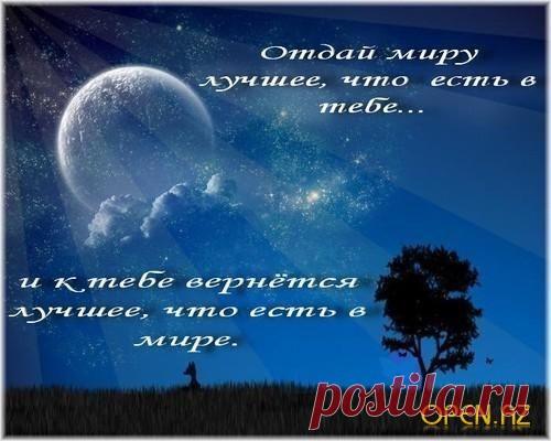 мудрые высказывания в картинках - Поиск в Google