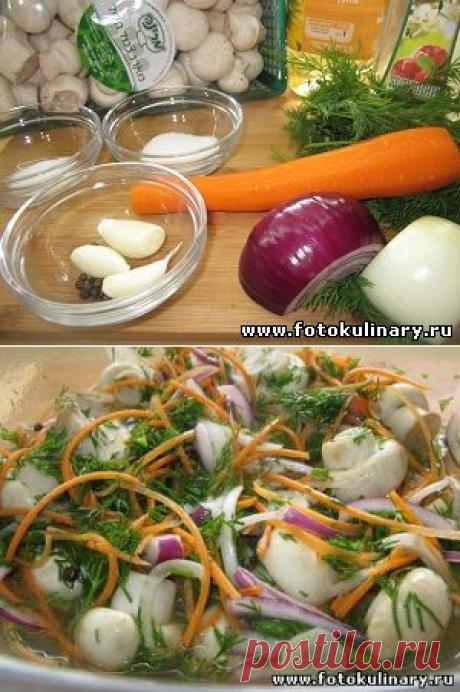 Маринованные шампиньоны - Cалаты, закуски - Кулинарные рецепты ! - ФотоКулинария
