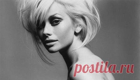 «Женщина - это не постельная принадлежность и не кухонный комбайн с накрашенными глазами. Женщина - это образ, стиль и уровень жизни мужчины».

— Софи Лорен