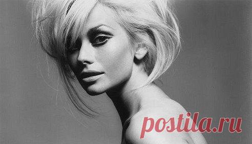 «Женщина - это не постельная принадлежность и не кухонный комбайн с накрашенными глазами. Женщина - это образ, стиль и уровень жизни мужчины».

— Софи Лорен