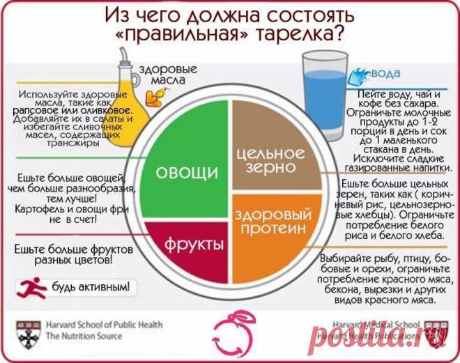 Из чего должна состоять тарелка
