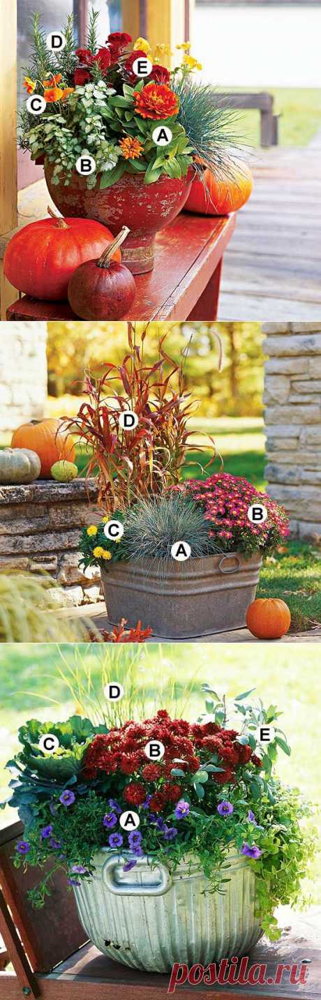Осенние контейнерные сады (с названиями цветов)