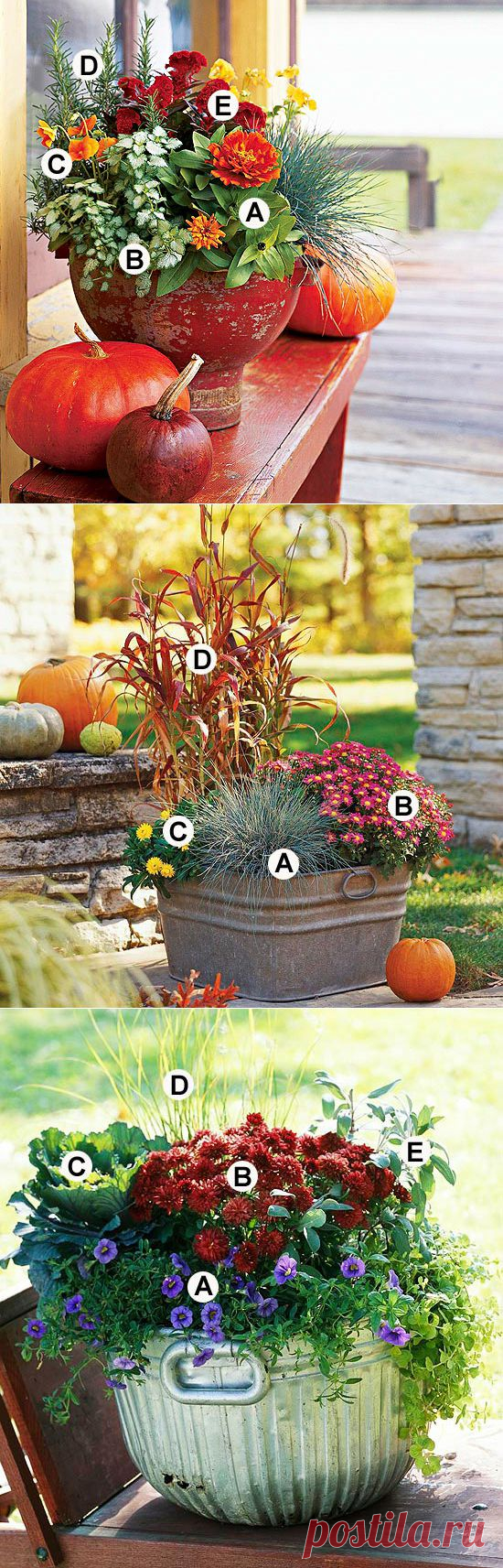 Осенние контейнерные сады (с названиями цветов)