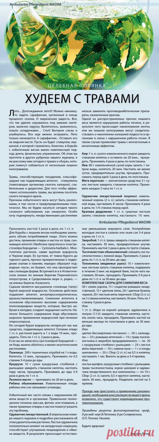 Худеем с травами