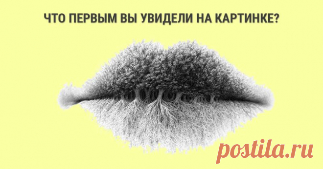 Узнайте побольше о себе, просто посмотрев на картинку - Фонтан | Фонтан