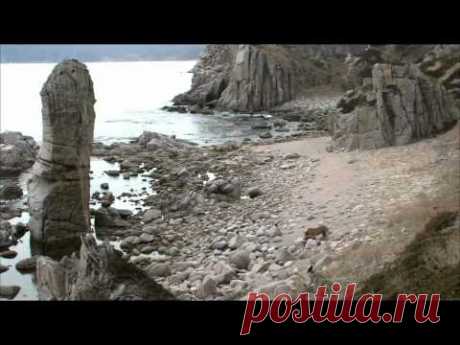 Дикая природа России 2. Primorye / Таежный край.1080p