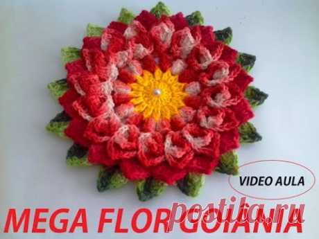 MEGA FLOR GOIANIA EM CROCHÊ   NEDDY GHUSMAM