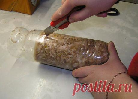 КЛУБ "СОВЕТЫ ХОЗЯЙКАМ". – ♥ღஐღ♥ Zakolka ♥ღஐღ добавила фотографию в альбом № 10 БЛЮДА ИЗ КУРИЦЫ, УТКИ,ГУСЯ И...