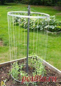 Моя дача ver. 2.0 Архитектура и дизайн