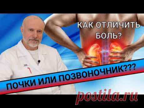 КАК ОТЛИЧИТЬ БОЛЬ В ПОЗВОНОЧНИКЕ ОТ БОЛИ В ПОЧКАХ???