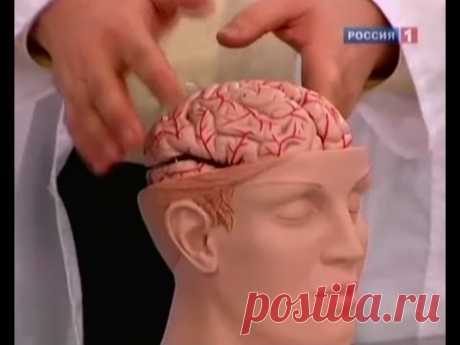 Инсульт - симптомы и причины, способы лечения. Первая помощь при инсульте
