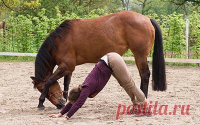 Как йога делает вас лучшим наездником – верховая езда “всегда быть на коне” Занятия для начинающих