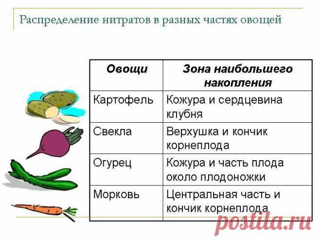 Где прячутся нитраты?