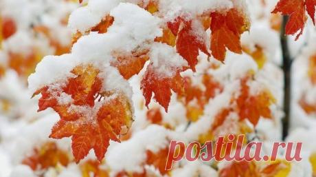 Не зима ещё, а её начало... Это слёзной осени конец. .