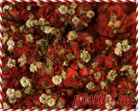 Плейкаст ««Поздравление с 8 Марта, для женщин! »»