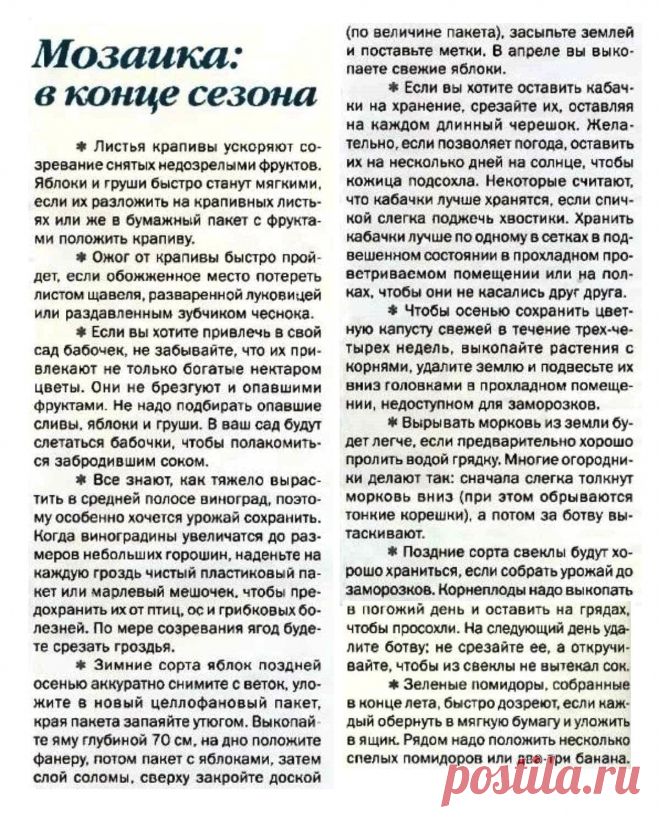 Дачные советы