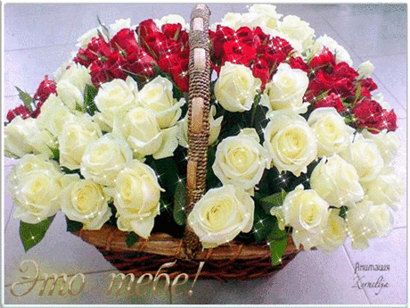 Мой Мир@Mail.Ru