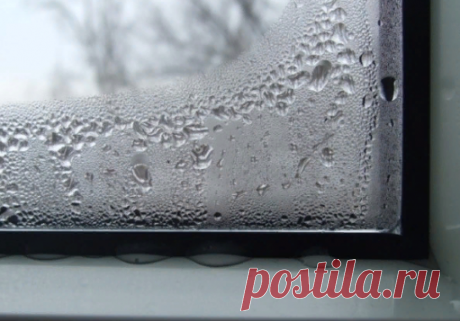 Почему запотевают окна и как это исправить? | Ремхак | Яндекс Дзен