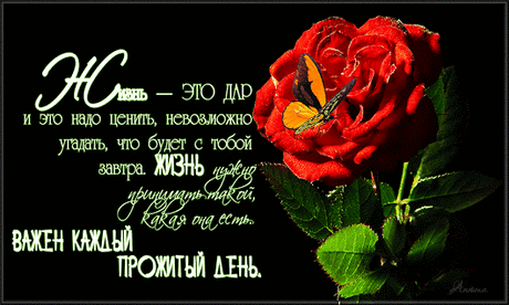 Google+