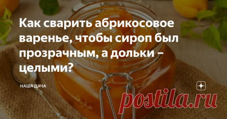 Как сварить абрикосовое варенье, чтобы сироп был прозрачным, а дольки – целыми? Для меня абрикосы – деликатес, у нас они не растут, и едим мы их только в сезон. Но куда там привозным фруктам из магазина, в сравнении с теми, которые сорваны только что, с куста! Таких вкусных абрикосов, как на Кубани, я еще не ела.
Теперь я варю абрикосовое варенье только по рецепту тети Гали – и, уверяю вас, и привозного товара оно получается почти таким же вкусным, как и из «непривозного".