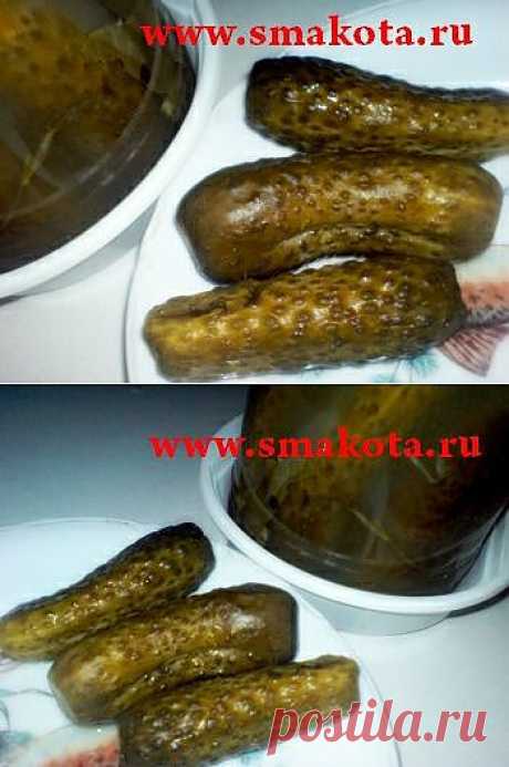 Домашние малосольные огурцы | SMAKOTA.RU