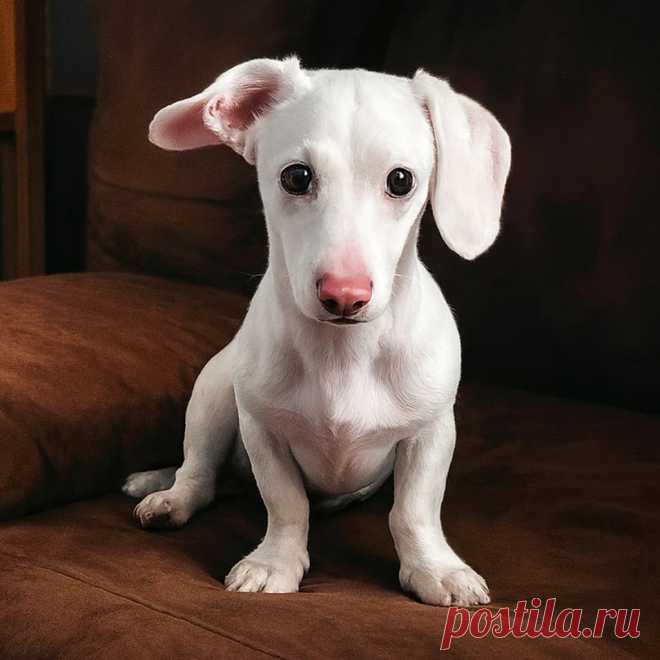 Где живет красота - OGADANIE.RU