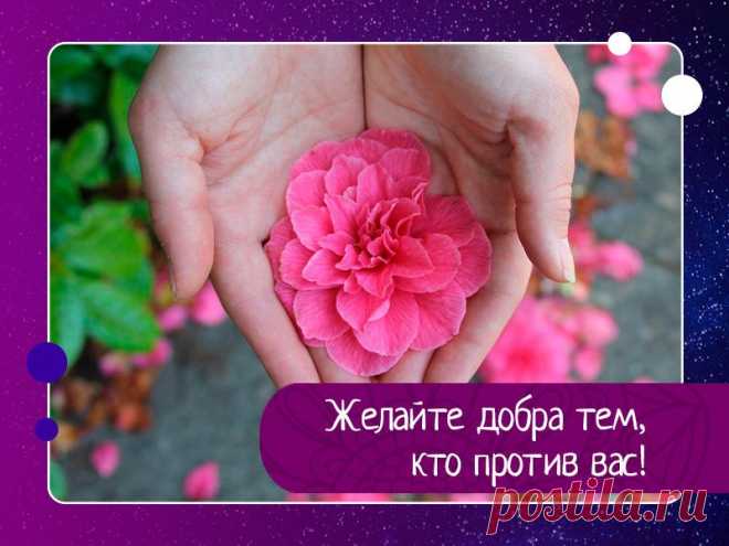 Желайте добра тем, кто против вас! — Эзотерика, психология, философия