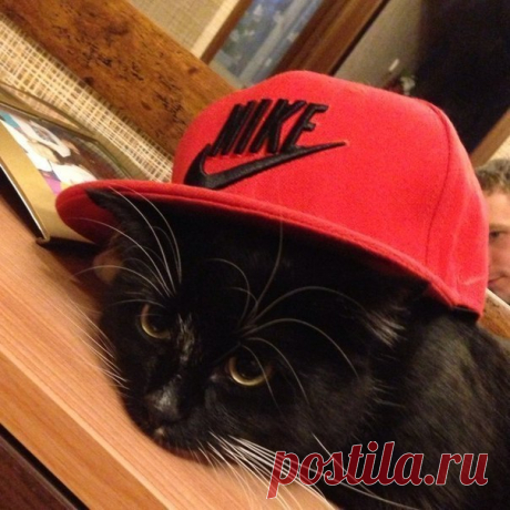 Света Меньшикова