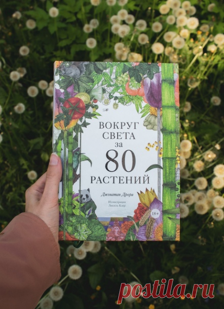 Если при упоминании омелы вы думаете о поцелуях, а мандрагора вызывает ассоциации с уроками зельеварения в школе Хогвартс — поздравляем, вы не одиноки! Со многими растениями связано множество примет и поверий — и порой они так глубоко коренятся в культуре, что заставляют забыть о реальных свойствах растений. Между тем и омелу, и мандрагору, и мирт, и клевер вполне можно встретить в живой природе. С чем же связаны их «волшебные» особенности? Разбираемся вместе с создателями книги «Вокруг света…